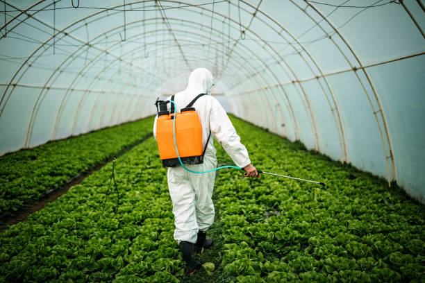 Best Best Pest Control Companies  in Suwanee, GA