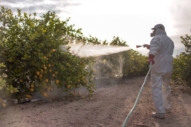 Best Pest Control for Homes  in Suwanee, GA