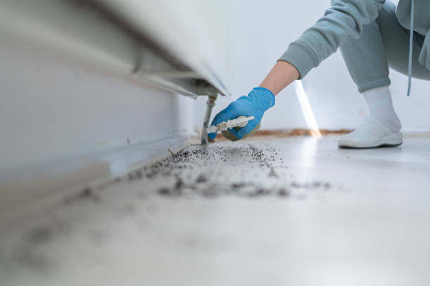 Reliable Suwanee, GA Pest Control Solutions